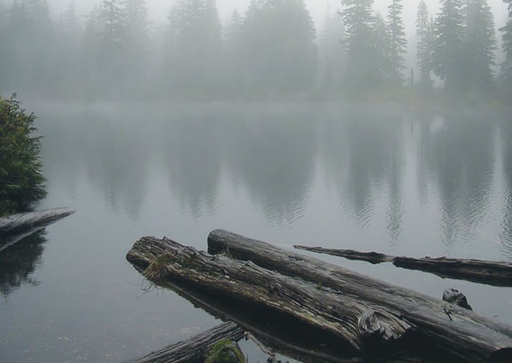 home_story_whatido_1